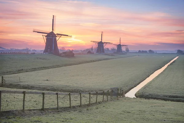 荷兰利奇丹南农村地区一个五彩缤纷寒冷的冬日日出 三座风车排在结霜的草地和篱笆后面 — 图库照片