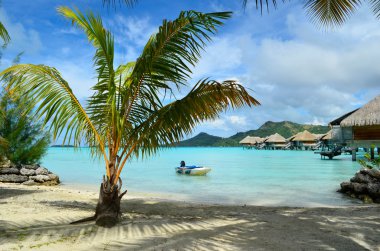 Lüks resort kumsalda Bora Bora