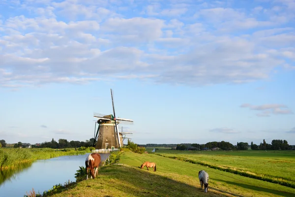 Drie paarden, drie windmolens — Stockfoto