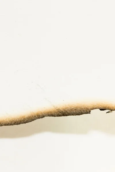 Piece of paper with burned edge — Stock Photo, Image