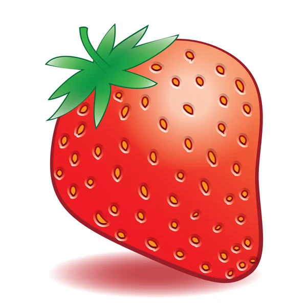 Vector de fresas maduras sobre fondo blanco — Archivo Imágenes Vectoriales