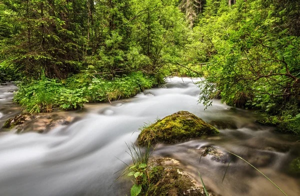 Mountain stream in Val di Fassa — Stock Photo, Image