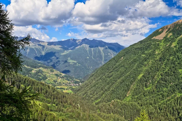 Trentino - Pejo valley — Stock Photo, Image