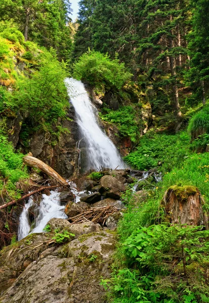 Waterfall in Vermiglio — Stock Photo, Image
