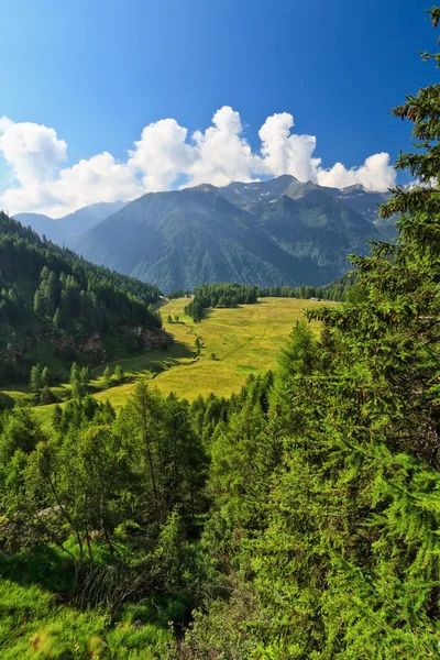 Trentino - Val di Pejo — Stock Photo, Image