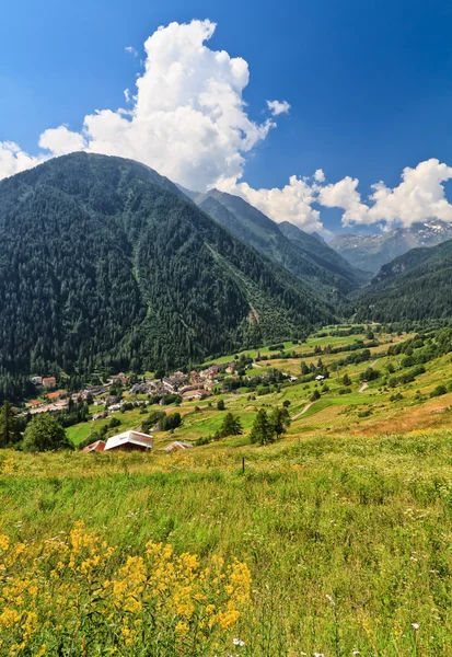 Trentino - val di pejo, italien — Stockfoto