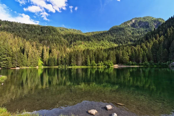 Trentino - Lago di Caprioli — Foto Stock