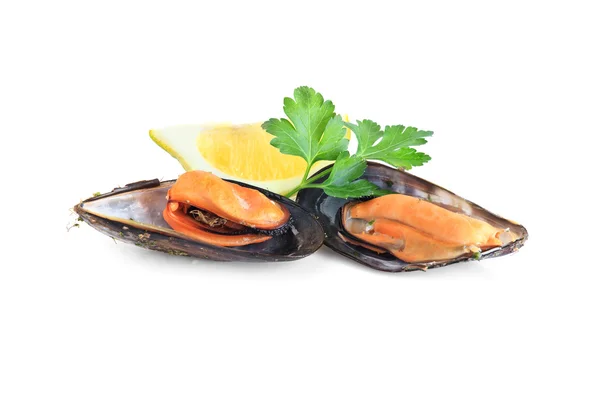 Moules bouillies isolées sur fond blanc — Photo