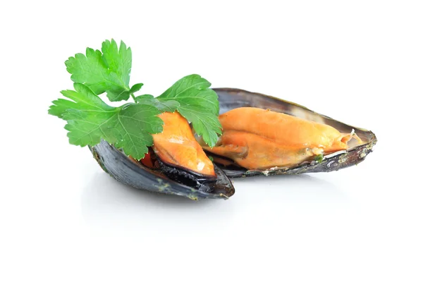Boiled mussels isolated over white background — Stock Photo, Image