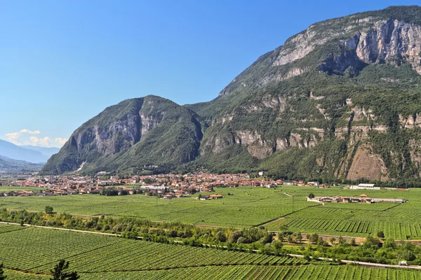 Mezzolombardo, údolí Adige — Stock fotografie