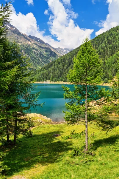 Trentino - lake Pian Palu — Stock Photo, Image