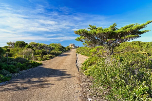Cerdeña - pequeña carretera en la isla de San Pietro Fotos de stock libres de derechos