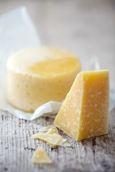 Çeşitli peynir çeşitleri — Stok fotoğraf