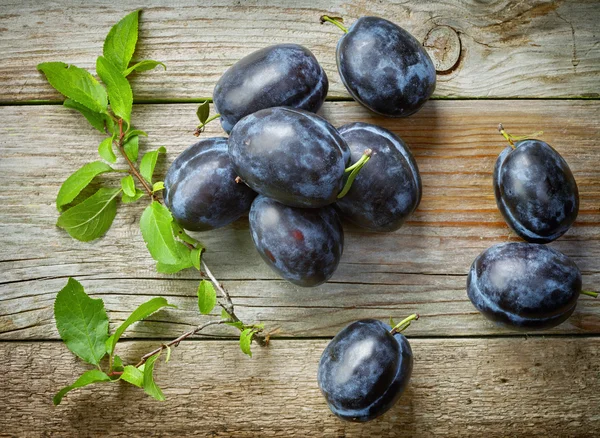 Fresh blue plums — Stock Photo, Image