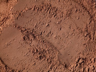 Kakao tozu dokusu, üst görünüm