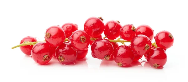 Mazzo Bacche Ribes Rosso Bagnato Isolato Sfondo Bianco — Foto Stock