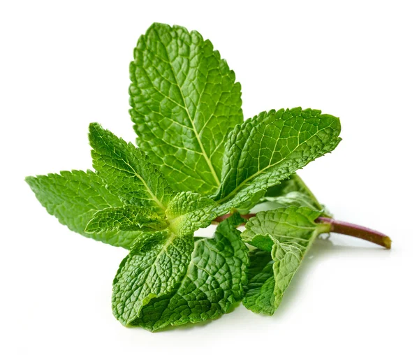 Fresh Green Mint Leaves Isolated White Background — Stock Photo, Image