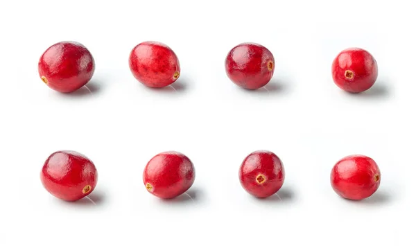 Frische Rote Preiselbeeren Makro Isoliert Auf Weißem Hintergrund — Stockfoto