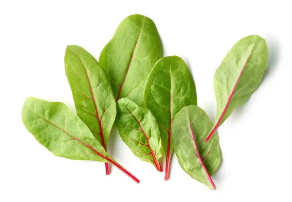 Hojas Remolacha Verde Fresca Para Una Comida Saludable Aislada Sobre — Foto de Stock