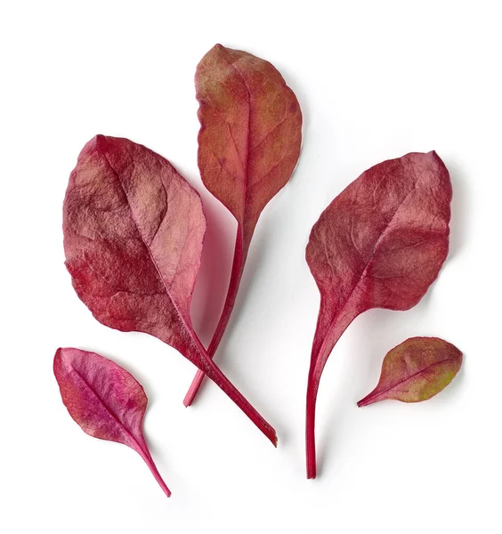 Beyaz Arka Planda Izole Edilmiş Taze Kırmızı Salata Yaprakları Üst — Stok fotoğraf