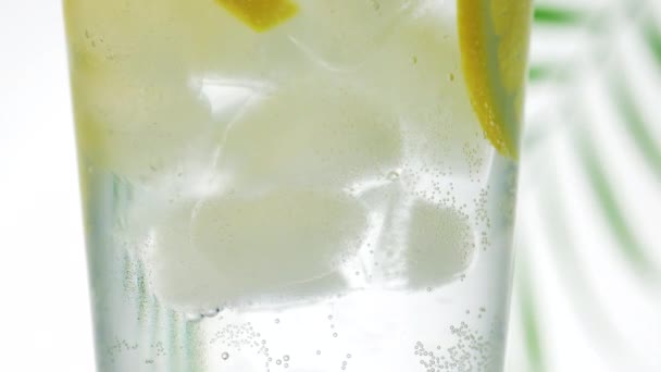 Rotující sklo z ledové šumivé vody a citrónových plátků detailně na odostřeném pozadí listu, selektivní zaostření — Stock video