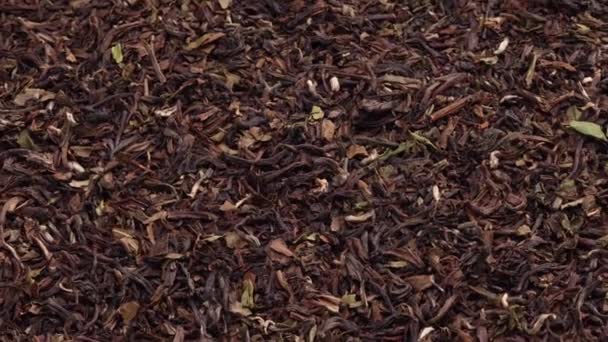 Rotující Sušený Luxus Černý Čaj Listy Pozadí Detailní — Stock video