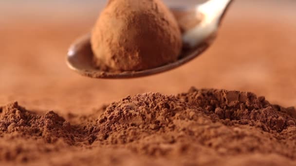 La truffe au chocolat est versée dans la poudre de cacao avec une cuillère close - up slow motion — Video
