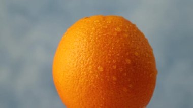 Taze olgun portakal meyvelerini su damlalarıyla kapatın. 
