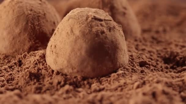Gros plan de tourner les truffes au chocolat sur fond de poudre de cacao — Video