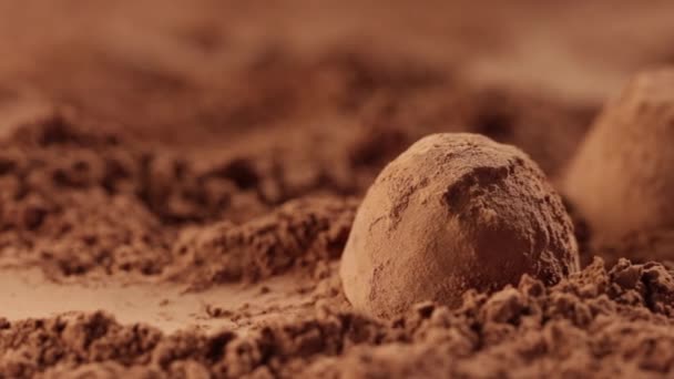 Trufle czekoladowe wlewa się do proszku kakaowego z zamkniętymi palcami - w górę zwolnione tempo — Wideo stockowe