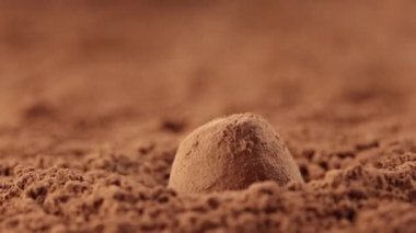 Çikolata yer mantarı kakao tozunun içine düşer ve bir patlama meydana getirir. Yavaş çekim makroyu yakınlaştır.