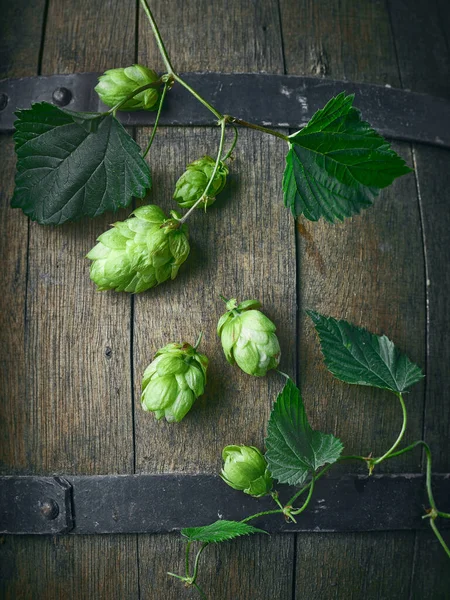 Čerstvé Zelené Chmelové Šišky Starém Pivním Sudu Pozadí Horní Pohled — Stock fotografie