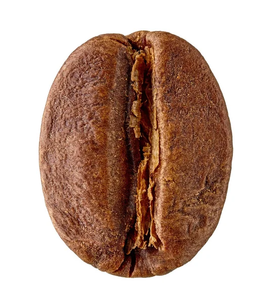 Kaffebönan Makro Isolerad Vit Bakgrund — Stockfoto