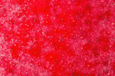 kırmızı mango meyveli makro