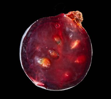 Frenk üzümünün yarısı siyah arkaplanda.