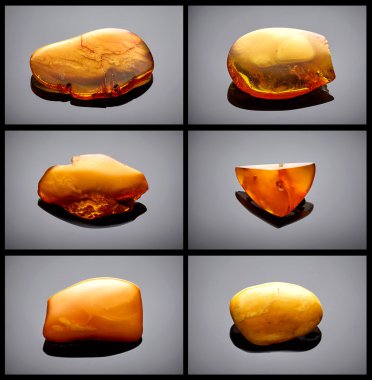 Amber koleksiyonu