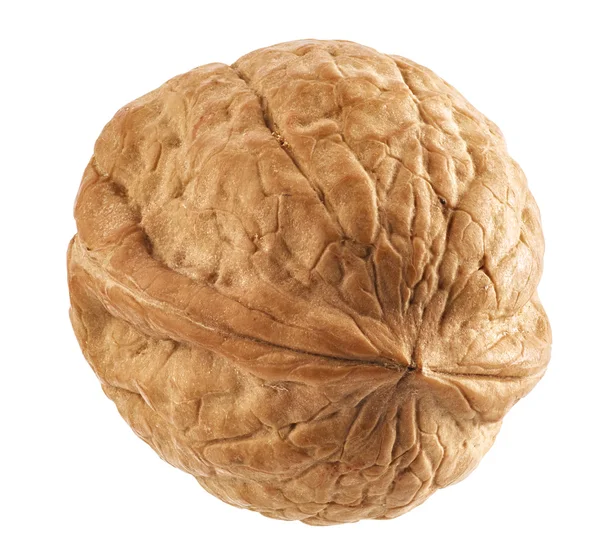 Walnut macro — Stock Photo, Image