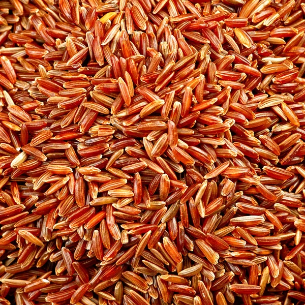 Tazón de arroz salvaje rojo — Foto de Stock