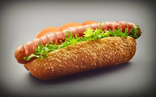 Hot Dog op een grijze achtergrond — Stockfoto