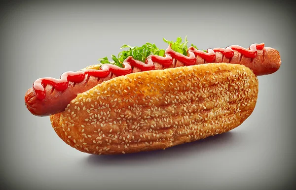 Hot Dog sur fond gris — Photo