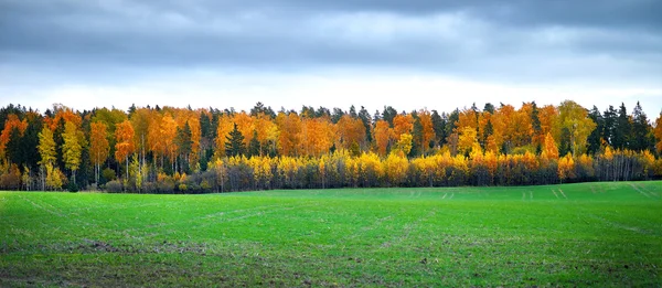 Höstlandskap med grönt fält — Stockfoto