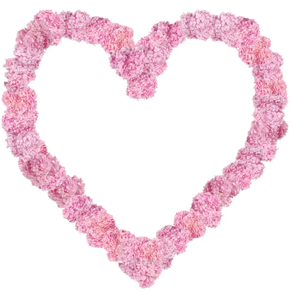 Krásné růžové hortenzie Květinové srdce tvarovaný rám. — Stock fotografie