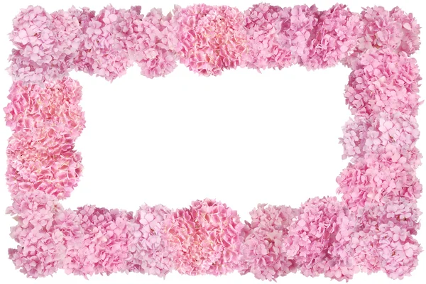 Mooie roze hortensia bloem frame. — Stockfoto