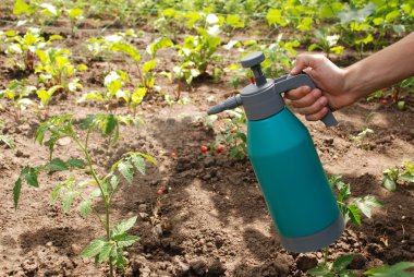 Sprey şişe tutan erkek el