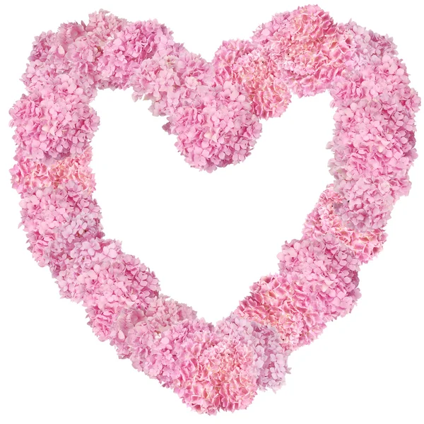 Beautiful Pink hydrangeas heart-shaped flower frame. — Stock Photo, Image