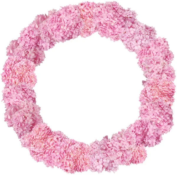 Gyönyörű Pink-Hortenzia virág kör. — Stock Fotó