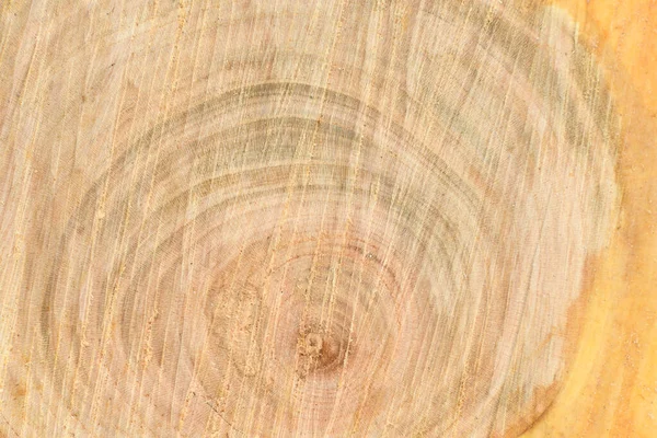 Κάτοψη Της Επιφάνειας Του Φρέσκου Κορμού Ετήσιους Δακτυλίους Closeup Για — Φωτογραφία Αρχείου