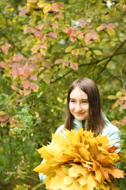 Ergenlik öncesi kız elinde bir buket sonbahar yaprağı tutuyor. Sıcak sonbahar günü, sarı sonbahar yaprakları. Sonbahar konsepti. Yüksek çözünürlüklü fotoğraf.