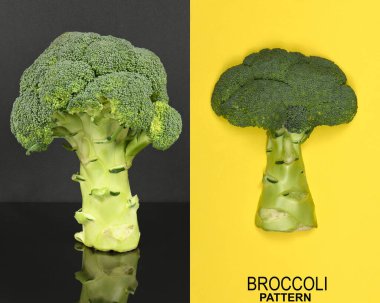 Brokoliden yapılmış yaratıcı bir düzen. Yüksek çözünürlüklü. Tam alan derinliği.