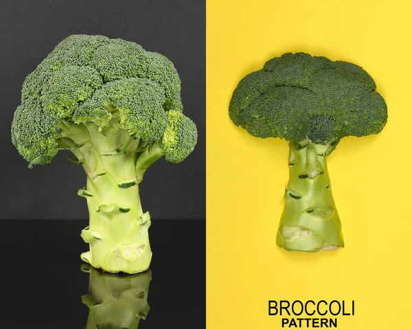 Brokoliden yapılmış yaratıcı bir düzen. Yüksek çözünürlüklü. Tam alan derinliği.